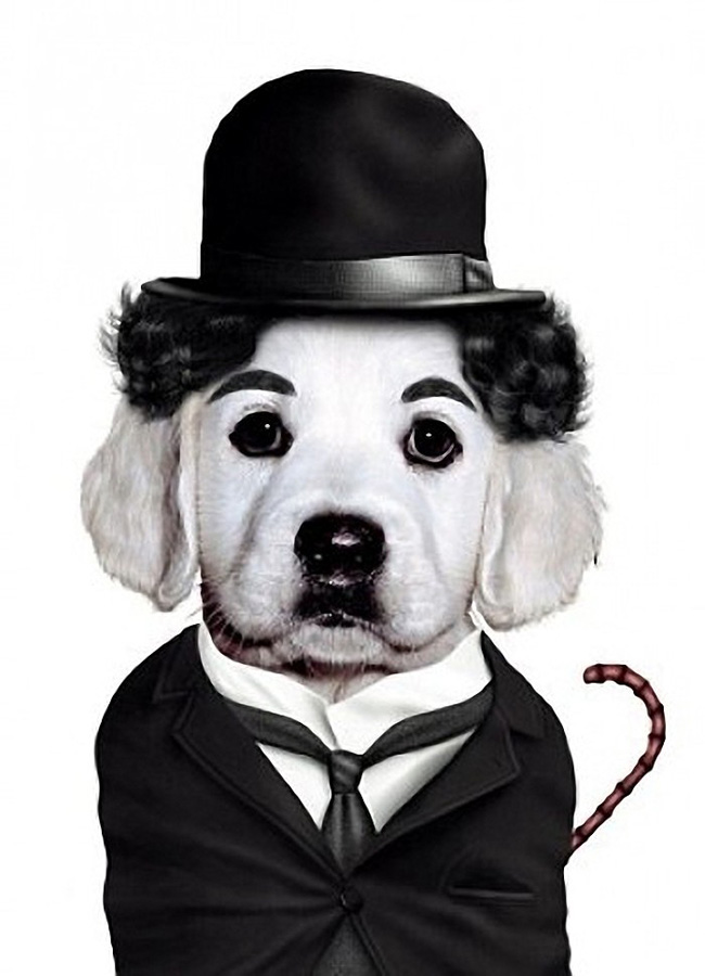 Charlie Chaplin - Dog Disguisefamous person faces celebrity animal funny